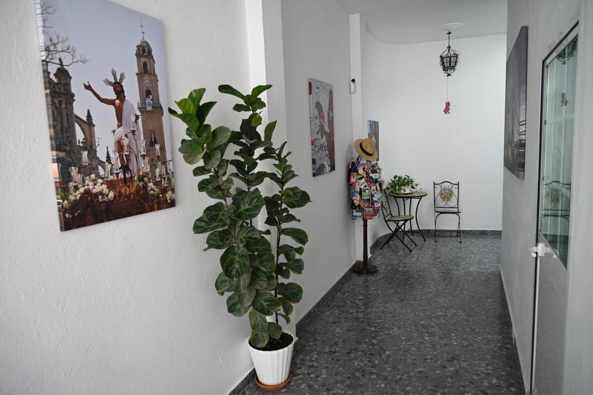 Apartament Bienvenidos A San Miguel Jerez de la Frontera Zewnętrze zdjęcie
